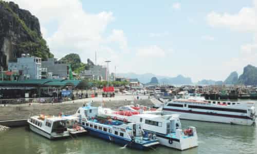 Trải Nghiệm Chuyến Du Lịch Độc Đáo Tại Cảng Cái Rồng