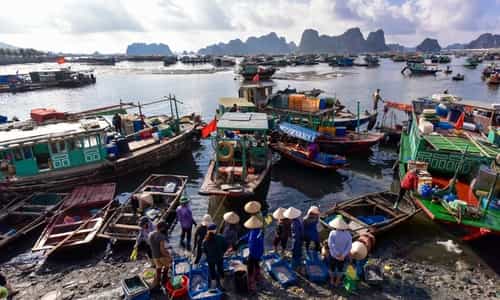 Dạo bước sớm mai ở chợ cá Bến Do tại vùng vịnh Bái Tử Long