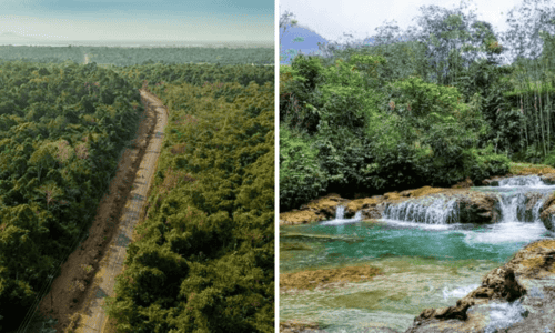 Lý Do Khu Bảo Tồn Thiên Nhiên Đồng Sơn - Kỳ Thượng Là Điểm Đến Lý Tưởng Cho Mọi Du Khách