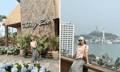Bỏ Túi Địa Chỉ Café Thông Zeo: Thiên Đường Yên Tĩnh Giữa Lòng Hạ Long Tìm Một Khoảnh