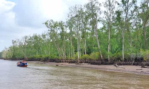 Một Ngày Ở Cù Lao Dài – Nghe Đờn Ca, Thưởng Trái Ngọt