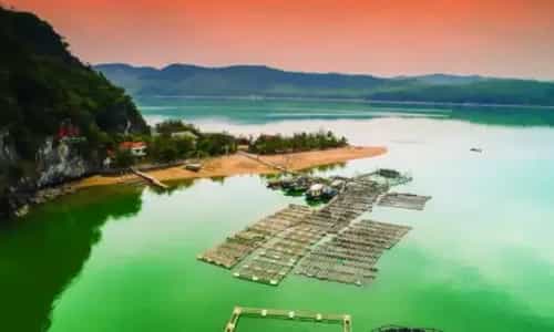 Vẻ Đẹp Hoang Sơ Của Đảo Bánh Sữa: Thiên Đường Bí Ẩn Ở Quảng Ninh