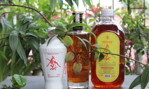 Rượu mơ Yên Tử – Hương vị đánh thức ký ức của vùng đất thiêng
