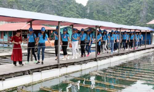 Chuyến Đi Đầy Ấn Tượng Tại Làng Nghề Ngọc Trai Tùng Sâu