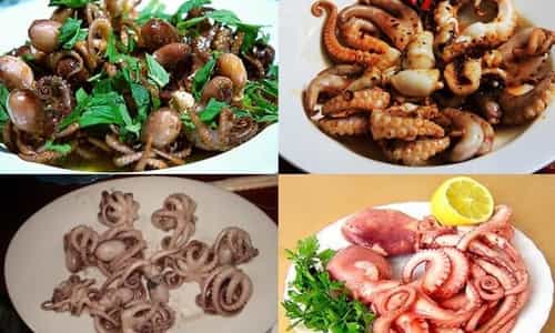 Ruốc lỗ Hạ Long – Đặc sản hải sản độc đáo của Quảng Ninh