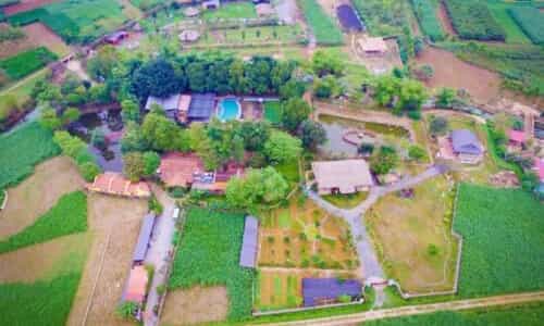 Không Cần Lên Núi Cao Hay Xuống Biển Sâu, Wonder Farm Có Đủ Thứ Bạn Đang Cần