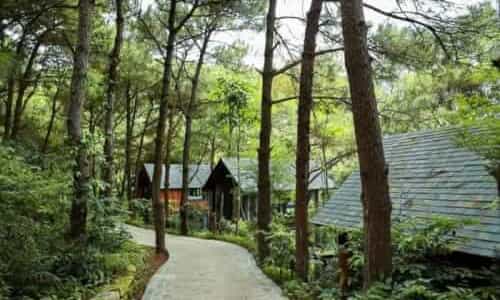 Amaya Retreat Sóc Sơn: Chốn Bình Yên Giữa Rừng Thông Hà Nội