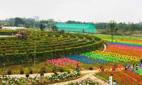 Công Viên Hoa Hồng Rose Park: Tận Hưởng Không Gian Xanh Mát Và Sắc Hoa Rực Rỡ