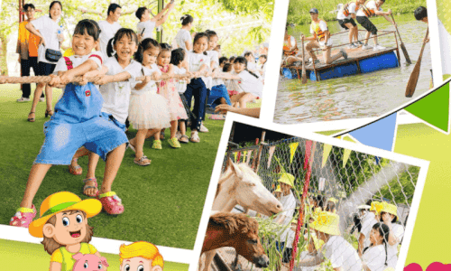 Trang trại Hải Đăng: Nơi những ký ức tuổi thơ được sống lại