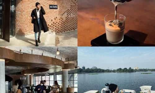 The Sipping Bar Waterfront: Trải Nghiệm Đạp Vịt Tại Một Quán Cà phê