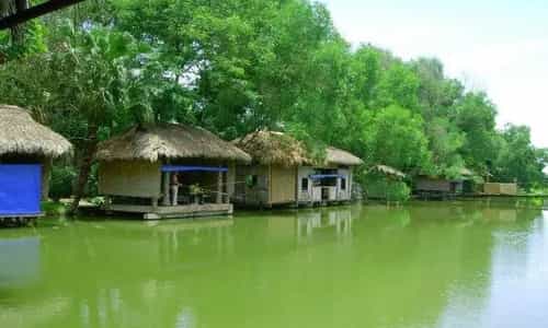Về Với Thiên Nhiên: Khám Phá Khu Du Lịch Cọ Xanh