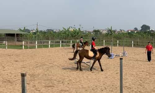 Cuối Tuần Thư Giãn Tại Hanoi Horse Riding Club Với Môn Cưỡi Ngựa Chuẩn Châu Âu