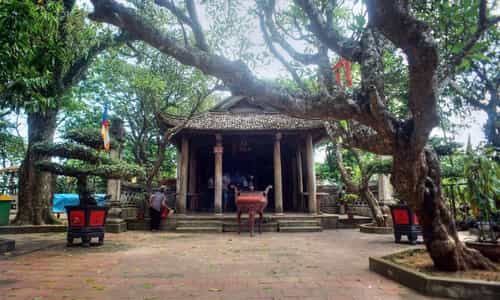 Lên Núi Câu Lâu Khám Phá Chùa Tây Phương – Điểm Du Lịch Tâm Linh