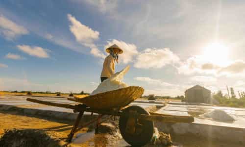 Hấp Dẫn Với Cánh Đồng Muối Bạch Long Mùa Thu Hoạch