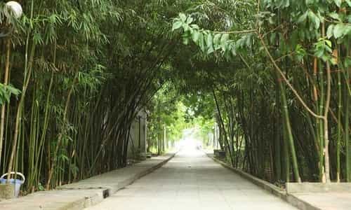 Ngỡ Ngàng Vẻ Đẹp Cổ Kính Của Đền Trúc – Ngũ Động Thi Sơn