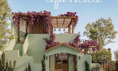 Mùa Rêu coffee & Bistro