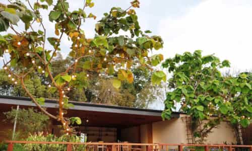 Lạc Vào Chốn Yên An Ở Huế: Trải Nghiệm Ấm Áp Tại Vả Riverside Retreat