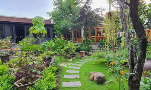 Chìm Đắm Trong Không Gian Truyền Thống và Ẩm Thực Huế Tại Nhà Vườn Ý Thảo
