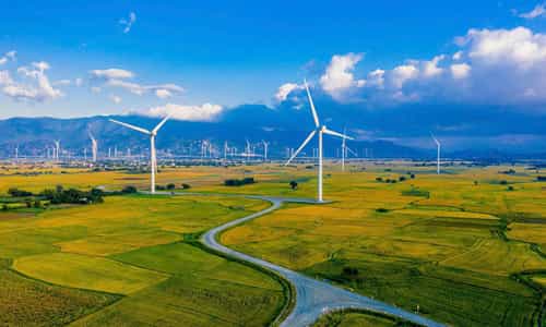 Cánh đồng điện gió Đầm Nại – Bản Hòa Ca Của Gió Giữa Lòng Ninh Thuận