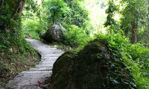 Rừng Nguyên Sinh Khe Rỗ: Thiên Đường Sinh Thái Bắc Giang