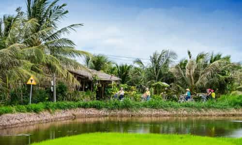 Trải Nghiệm Du Lịch Thuận Thiên Đầy Thú Vị Tại Cồn Chim