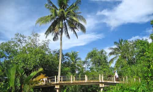 Trải Nghiệm Cuộc Sống Sông Nước Đầy Thú Vị Tại Giồng Trôm