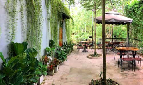 Central Coffee Vĩnh Long: Nơi Những Câu Chuyện Bắt Đầu
