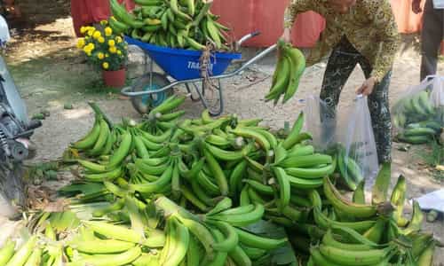Chuối Tá Quạ: Đặc Sản Trứ Danh Không Thể Bỏ Qua