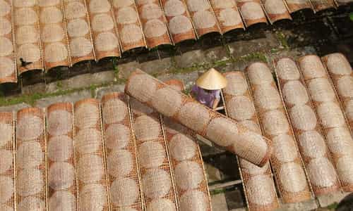 Bánh Tráng Nem Cù Lao Lục Sĩ: Món Quà Quê Dân Dã Đậm Đà Tình Vĩnh Long