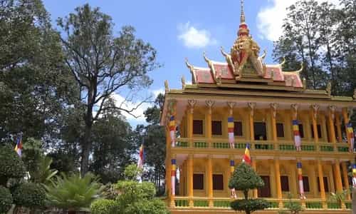 Những Câu Chuyện Tâm Linh Ly Kỳ Dưới Gốc Sao Chùa Ba Phố