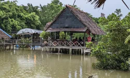 Thưởng Thức Lẩu Gà Nòi Nhà Sàn Độc Đáo Tại Vĩnh Long