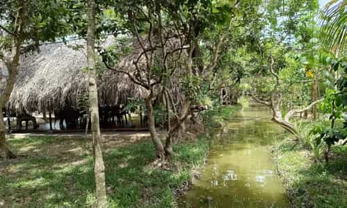 Khu Sinh Thái Nhà Xưa - Chốn An Yên Vỗ Về Tâm Hồn Giữa Miền Tây Sông Nước
