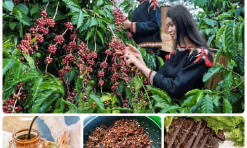 DU LỊCH GIA LAI: MUA GÌ VỀ LÀM QUÀ?