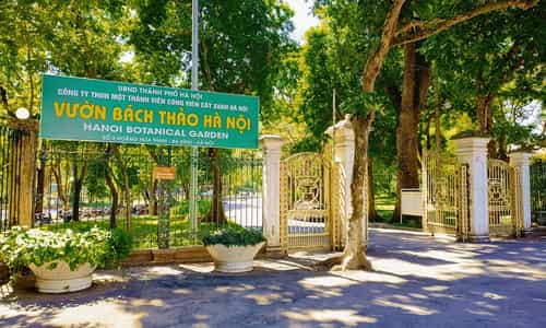 Vườn Bách Thảo Hà Nội Có Gì? Cẩm Nang Đi Dạo, Picnic Thư Giãn Dịp Cuối Tuần
