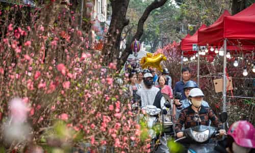 Chợ Hoa Hàng Lược Có Gì Khiến Người Hà Nội Mê Mẩn Mỗi Dịp Tết?