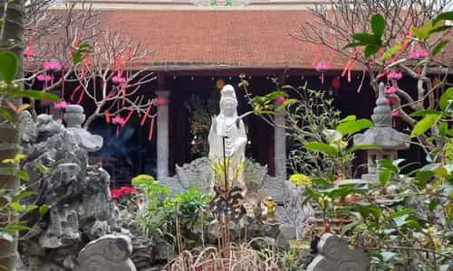 Chùa Đồng Quang: Nốt Lặng Bình Yên Giữa Phố Thị Tây Sơn Sầm Uất
