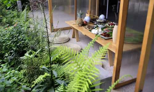 Thanh Plus Restaurant: Keeping Cherished Memories Alive with Authentic Countryside Flavors