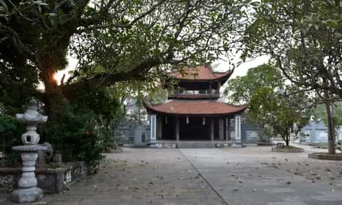 Say Lòng Trước Hương Sắc Hoa Sen Đất Tại Chùa Bối Khê Thanh Oai