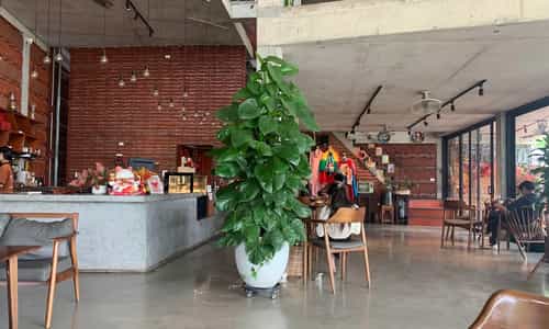 Check-In Cafe Ngói Đông Anh Nổi Bật Với Bức Tường Ngói Đỏ