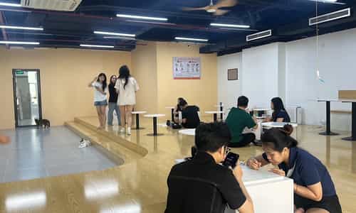 Tiệm Cà Phê Mèo JennyMiaw Tọa Độ Chữa Lành Mới Tại Thanh Xuân