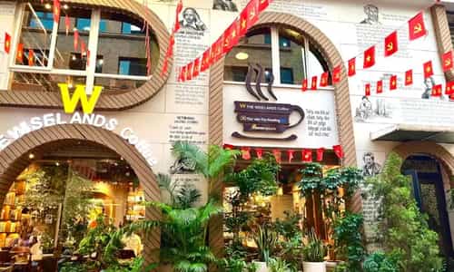 The Wiselands Coffee: Nơi Thời Gian Ngưng Đọng Bên Những Trang Sách