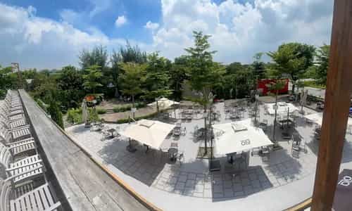 Đắm Mình Trong Không Gian Tinh Khôi Của OLA Kafé & Tea Ngày Cuối Tuần