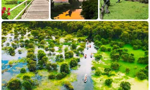 KHÁM PHÁ VẺ ĐẸP RỪNG TRÀM TRÀ SƯ Ở AN GIANG