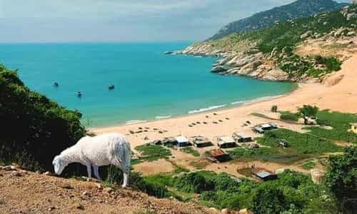 Mũi Dinh – Nơi biển, cát và gió kể câu chuyện đẹp nhất của miền duyên hải