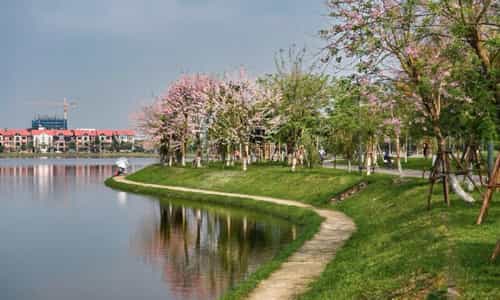 文庙调和湖公园 (Công viên Hồ Điều Hòa Văn Miếu),北宁省大福:城市中的一片静谧绿洲