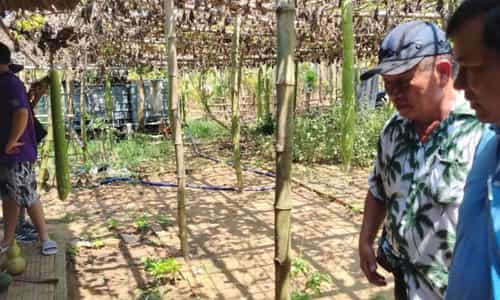 Trà Nhiêu Eco Village: Một Ngày "Đi Trốn" Về Giữa Bình Yên