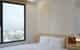 2623 Camellia