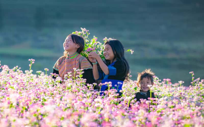 9月2日去司马彩爱情山看荞麦花