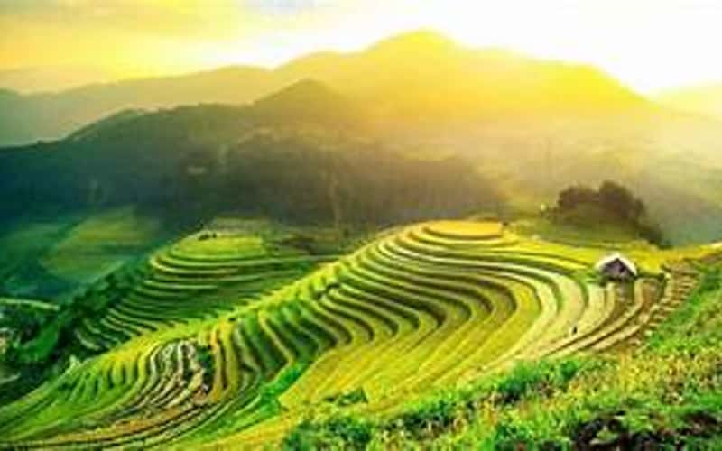 惊叹于黄素皮梯田的“天堂”景色
