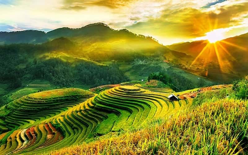 Ngắm những thửa ruộng bậc thang đẹp qua đề cử ‘Top 7 Ấn tượng Việt Nam 2023’
